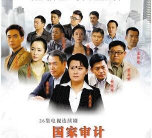 国家审计电视剧在线观看,揭秘电视剧在线观看背后的故事  第1张